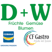 D+W Denscheilmann + Wellein Logo